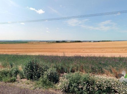 Prodej pozemku, zemědělská půda, 6 915 m²