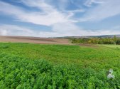 Prodej pozemku, zemědělská půda, 3 421 m²