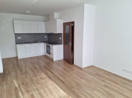 Pronájem bytu, 2+kk, 56 m²