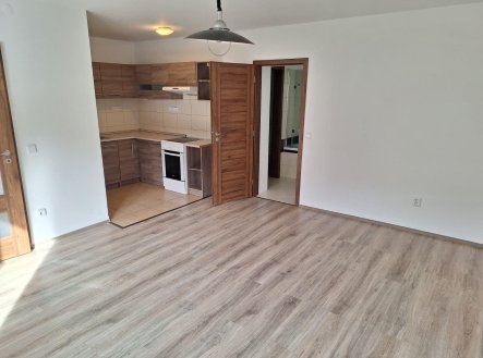 Pronájem bytu, 3+kk, 67 m²