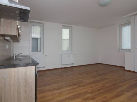 Pronájem bytu, 1+kk, 77 m²