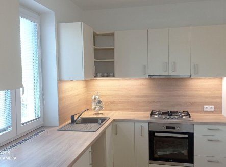 Pronájem domu/vily, 250 m²