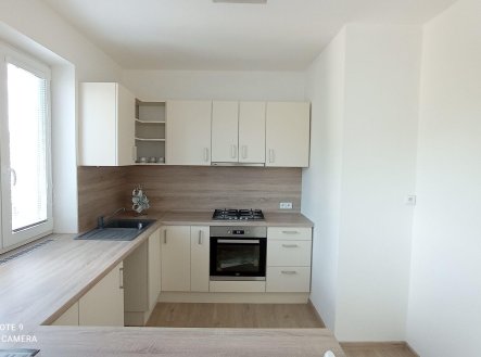 Pronájem domu/vily, 250 m²