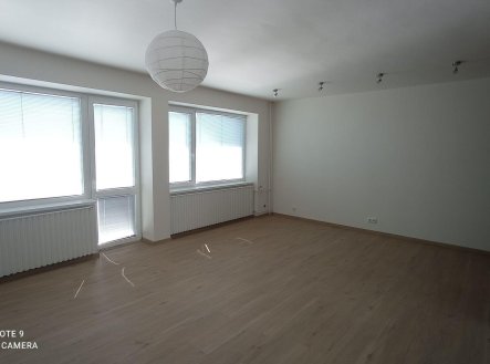 Pronájem domu/vily, 250 m²