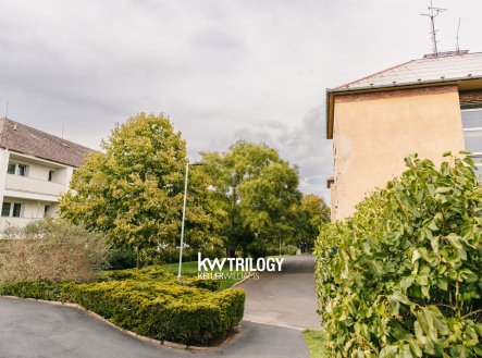 Pronájem bytu, 1+1, 41 m²