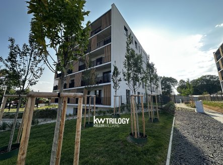 Pronájem bytu, 2+kk, 55 m²