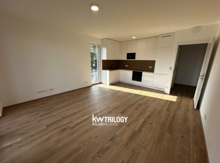 Pronájem bytu, 2+kk, 55 m²