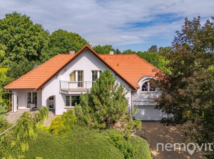 Pronájem domu/vily, 310 m²