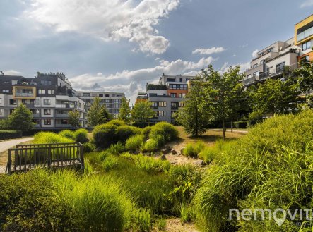 Pronájem bytu, 2+kk, 56 m²