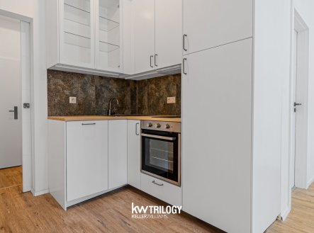 Prodej bytu, 1+kk, 28 m²