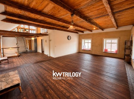 Prodej domu/vily, 343 m²
