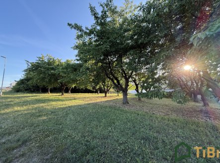 Prodej pozemku pro bydlení, 767 m²