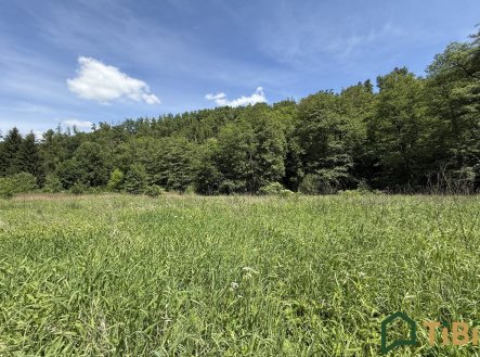 Prodej pozemku, trvalý travní porost, 3 200 m²