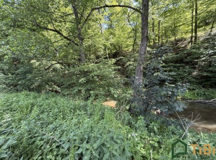Prodej pozemku, trvalý travní porost, 3 200 m²