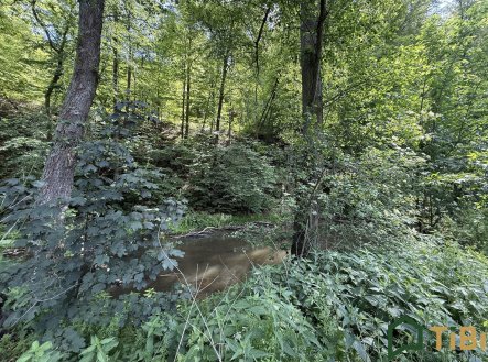 Prodej pozemku, trvalý travní porost, 3 200 m²