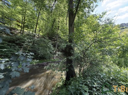Prodej pozemku, trvalý travní porost, 3 200 m²