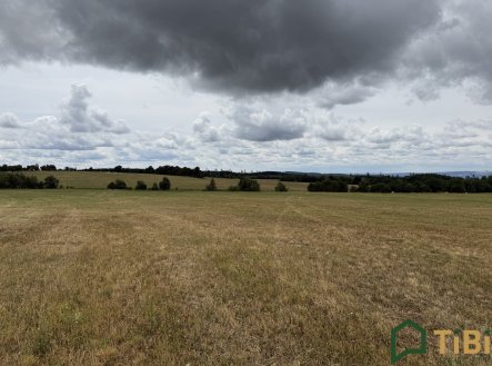Prodej pozemku, zemědělská půda, 2 000 m²