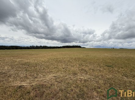 Prodej pozemku, zemědělská půda, 2 000 m²