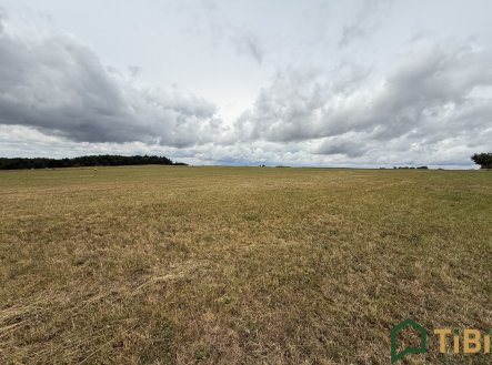 Prodej pozemku, zemědělská půda, 2 000 m²