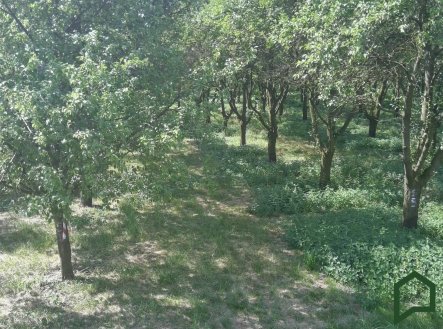 Prodej pozemku, ostatní, 5 319 m²