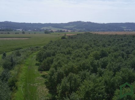 Prodej pozemku, ostatní, 5 319 m²