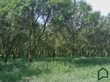 Prodej pozemku, ostatní, 5 319 m²