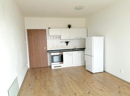 Pronájem bytu, 1+kk, 28 m²