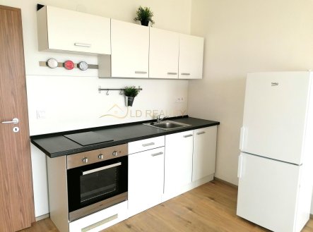 Pronájem bytu, 1+kk, 28 m²