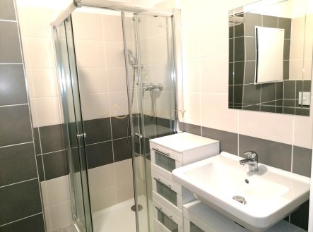 Pronájem bytu, 1+kk, 28 m²
