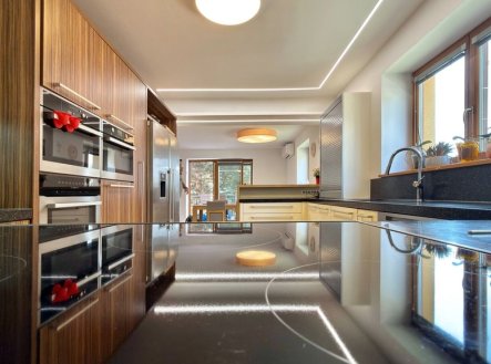 Pronájem domu/vily, 330 m²