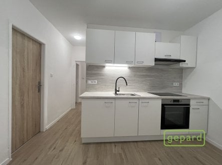 Pronájem bytu, 2+1, 53 m²