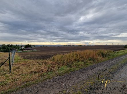 Prodej pozemku, zemědělská půda, 8 534 m²