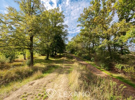 Prodej pozemku, zemědělská půda, 5 903 m²