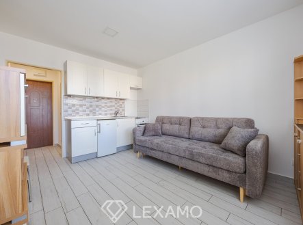 Pronájem bytu, 1+kk, 21 m²