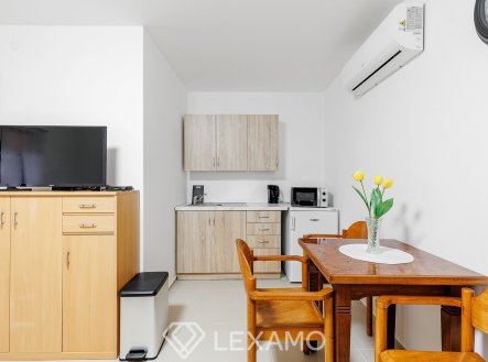 Pronájem bytu, 1+kk, 20 m²