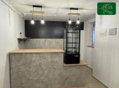 Pronájem obchodní prostory, 50 m²