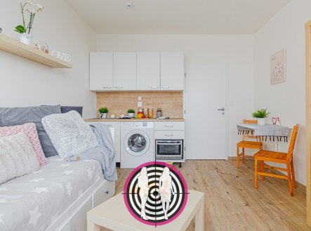 Pronájem bytu, 1+kk, 22 m²