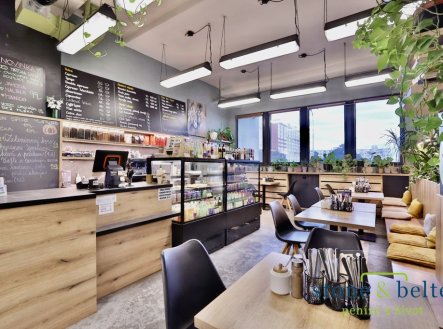 Prodej obchodní prostory, 254 m²