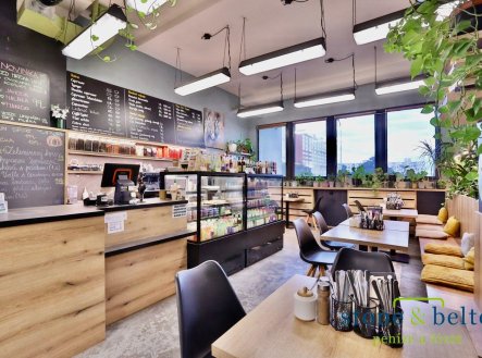Pronájem obchodní prostory, 254 m²