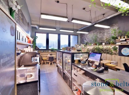Prodej obchodní prostory, 254 m²