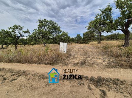 Prodej pozemku, zahrada, 870 m²