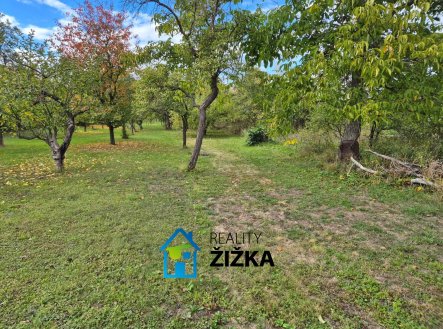 Prodej pozemku pro bydlení, 2 167 m²