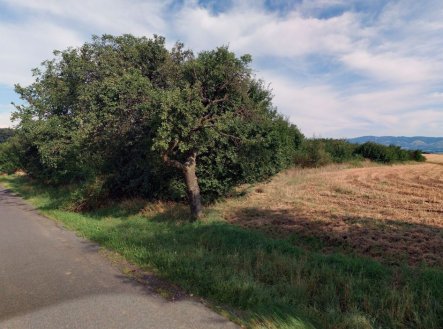 Prodej pozemku, zahrada, 1 655 m²