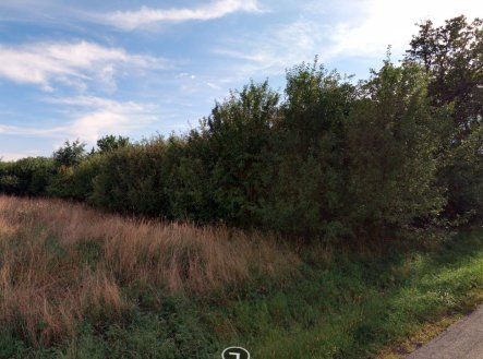 Prodej pozemku, zahrada, 1 655 m²