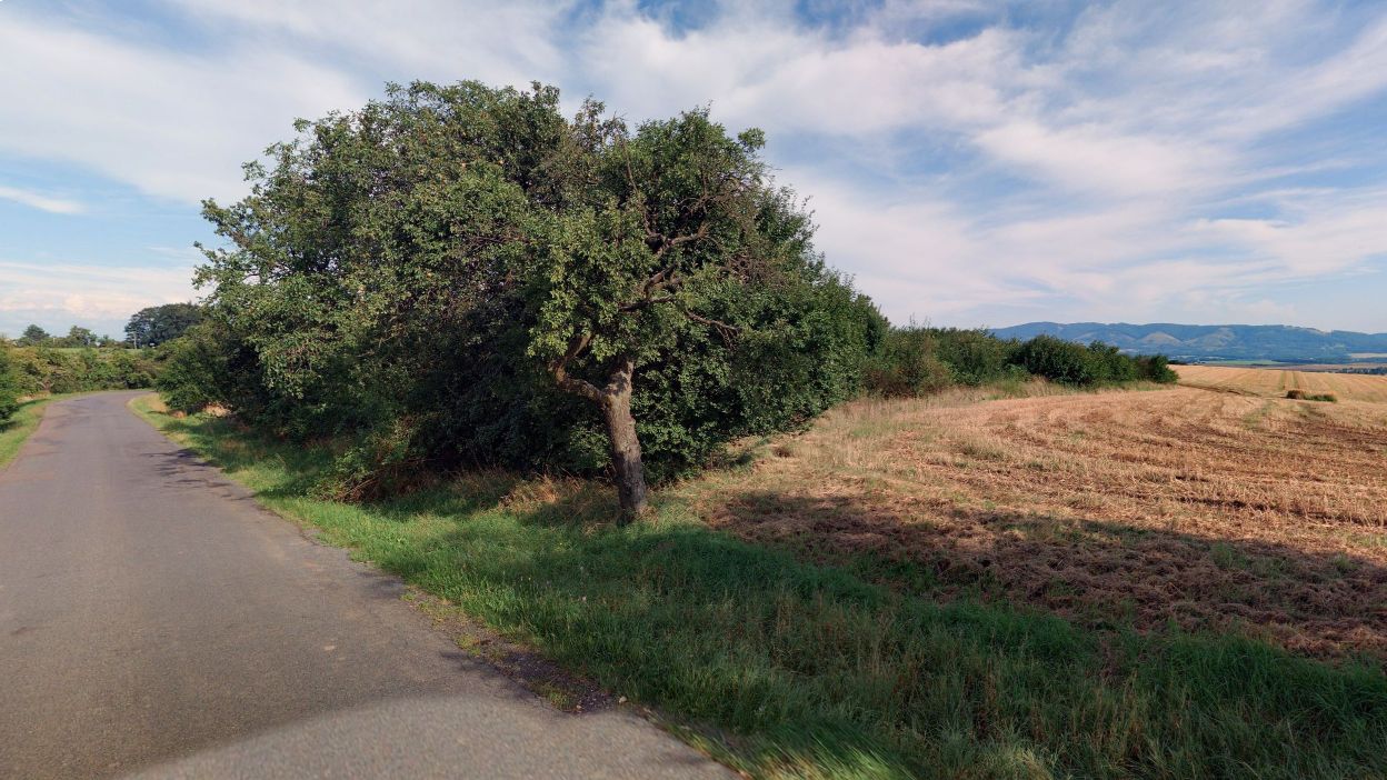 Netčice