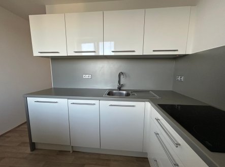 Pronájem bytu, 3+1, 63 m²