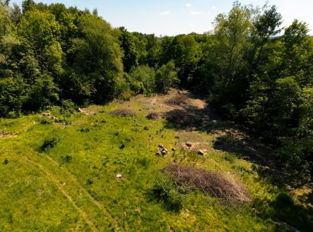 Prodej pozemku, zahrada, 2 646 m²