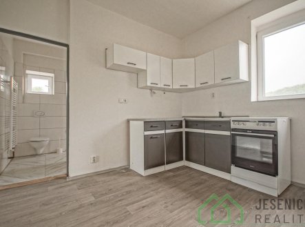 Pronájem bytu, 1+1, 44 m²