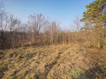 Prodej pozemku pro bydlení, 15 640 m²