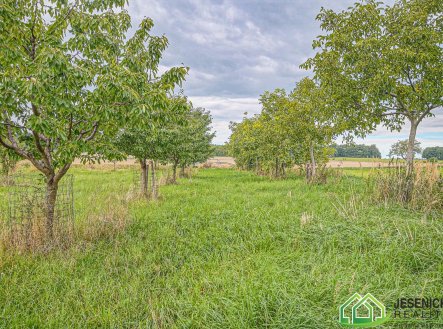 Prodej pozemku, zemědělská půda, 16 809 m²